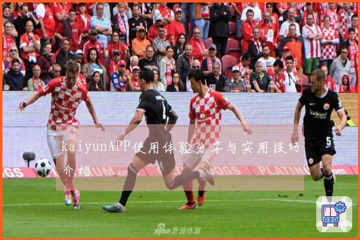 kaiyunAPP使用体验分享与实用技巧介绍